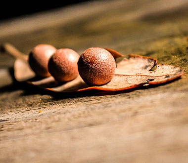 长期稳定的免费轰炸网页版